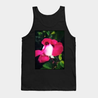 Delicate crimson white pink rose Tank Top